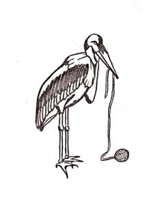 Scavenger: Maribu stork